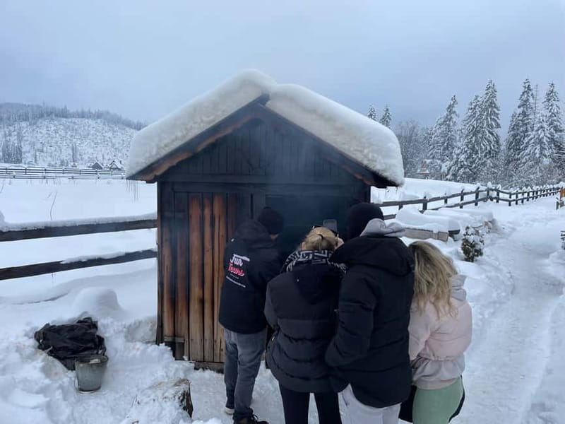 From Krakow: Snowmobile, Zakopane & Chochołowskie Baths - Snowmobile views in the Tatra foothills