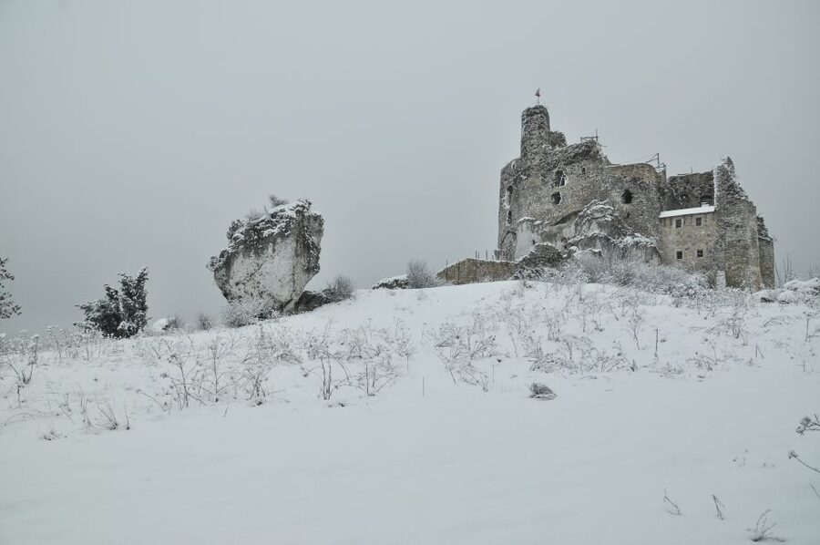From Krakow: Trail of the Eagles’ Nests Day Tour - Ogrodzieniec and the Błędowska Desert viewpoint