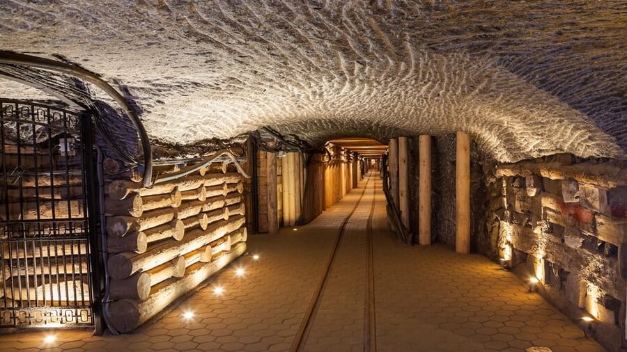 From Krakow: Wieliczka Salt Mine & Auschwitz Guided Trip - Who should book this day trip?