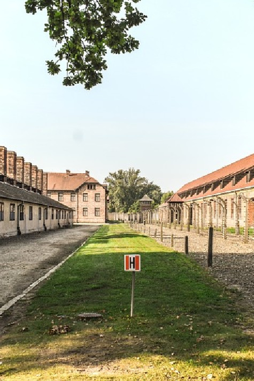 From Krakow: Wieliczka Salt Mine & Auschwitz Guided Trip - The road from the memorial to Wieliczka