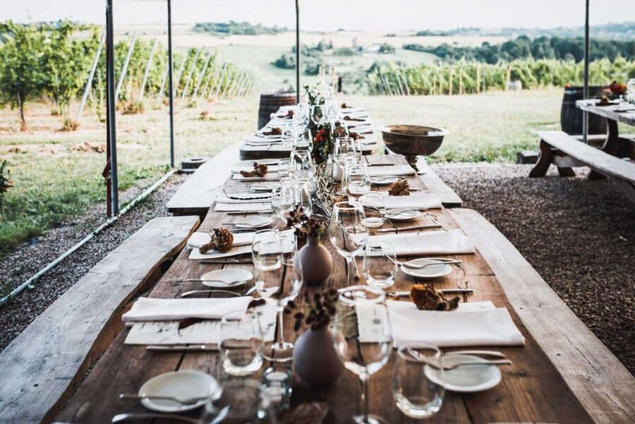 From Krakow: Wine Tasting at Vineyard - Practical advice before you reserve
