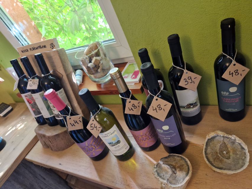 From Krakow: Wine Tasting at Vineyard - Walking through the organic growing area