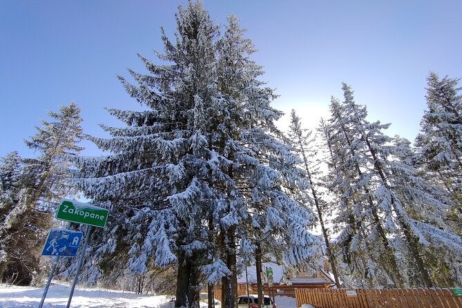 From Krakow: Zakopane & Chocholowskie Thermal Baths - Chocholow and its wooden houses