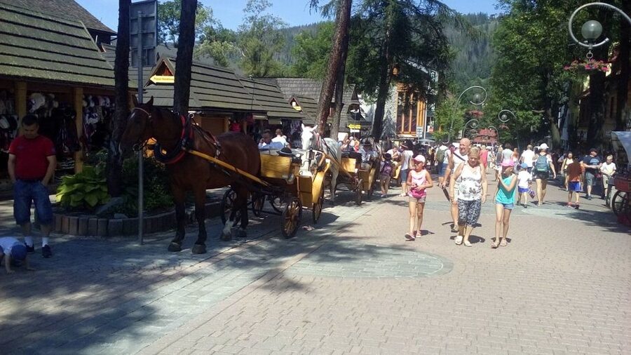 From Krakow: Zakopane & Hot Thermal Springs Private Tour - Two free hours in Zakopane