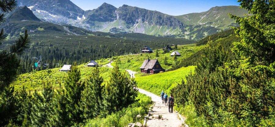 From Krakow: Zakopane & Hot Thermal Springs Private Tour - Soaking at Chochołowska Thermal Baths