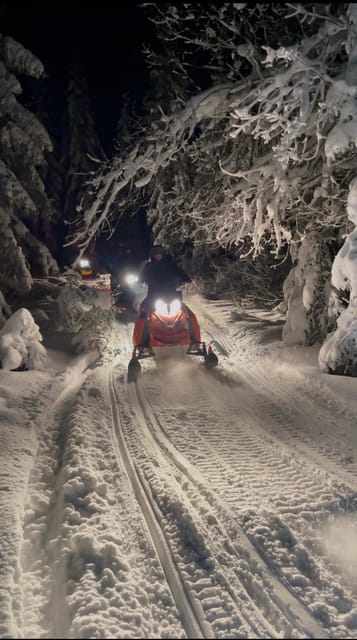 From Krakow: Zakopane Snowmobile NIGHT Ride, Bonfire, - From Krakow streets to the Tatra Mountains