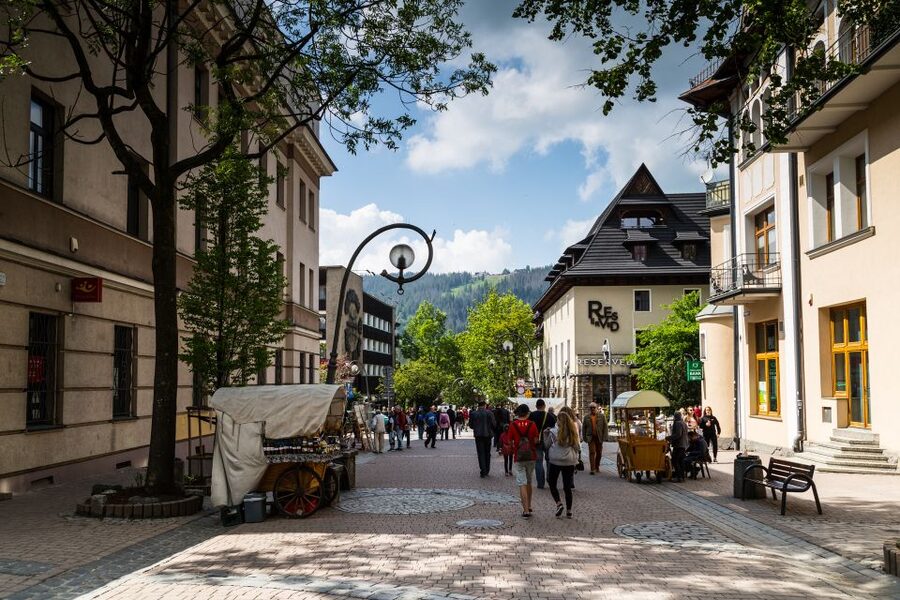 From Krakow: Zakopane Tour with Gubalowka Funicular & Museum - What the guide and driver add