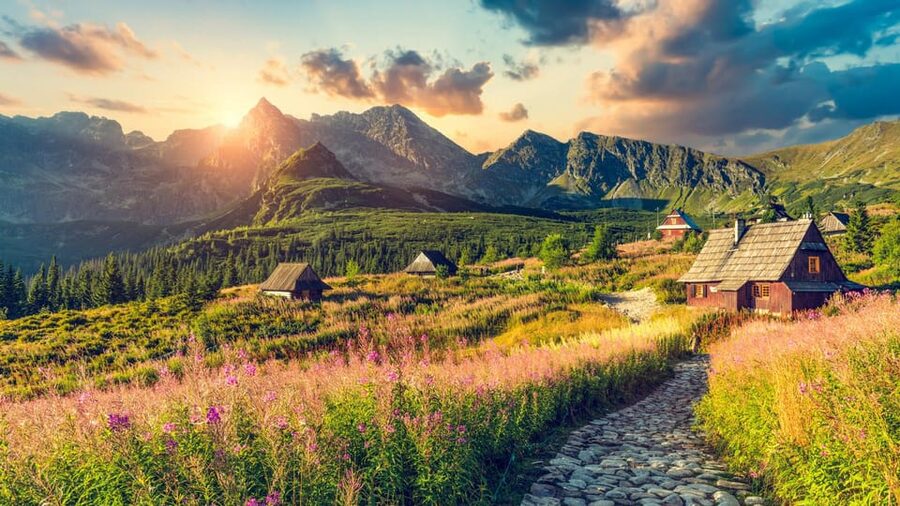 From Krakow: Zakopane Tour with Thermal Spa & Hotel Pickup - Who should book this Zakopane outing?