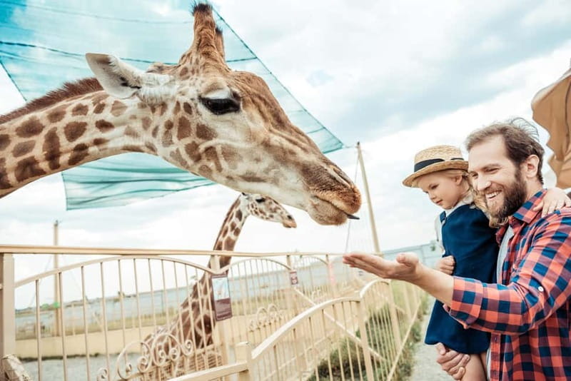 From Krakow: Zoo Trip with Private Luxury Transfer - A forest zoo instead of another city sight