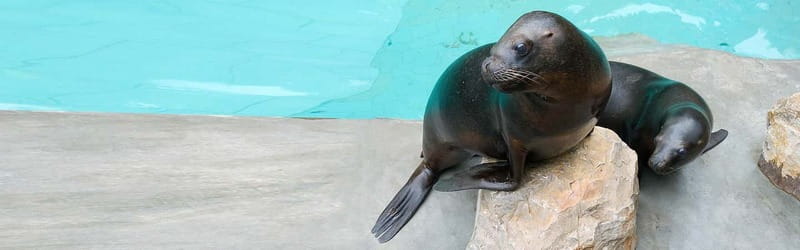 From Krakow: Zoo Trip with Private Luxury Transfer - Simple planning tips for a better visit
