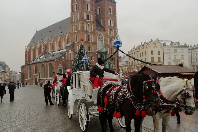From Warsaw Auschwitz and Krakow one day tour by train with pick up and drop off - English guidance is strong when the equipment works