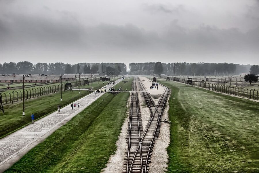 From Warsaw: Auschwitz-Birkenau Guided Tour with Fast Train - What the guide adds