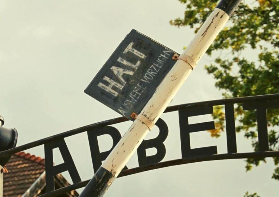 From Warsaw: Auschwitz-Birkenau Small Group Tour with Lunch - Key points to know before you book