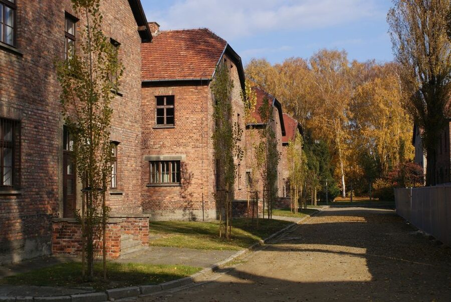 From Warsaw: Auschwitz-Birkenau Small Group Tour with Lunch - Practical tips for a more meaningful day