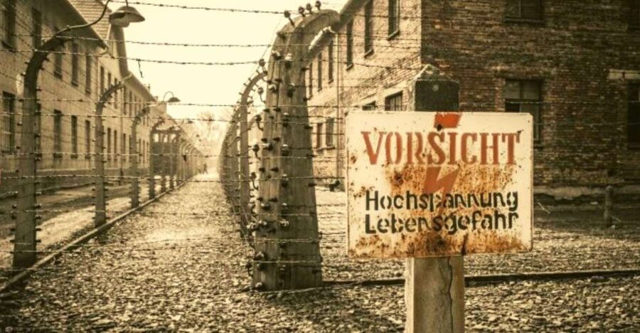 From Warsaw: Auschwitz-Birkenau Small Group Tour with Lunch - Why this visit matters
