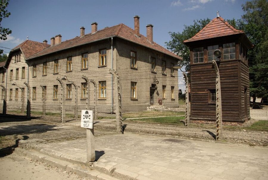 From Warsaw: Auschwitz-Birkenau Small Group Tour with Lunch - Who will get the most from this tour?