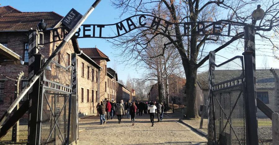 From Warsaw: Auschwitz-Birkenau Tour by Car - Timing, names, and the museum entrance rules