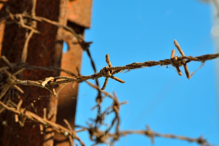 From Warsaw: Auschwitz-Birkenau Tour by Car - Who should book this Auschwitz day trip