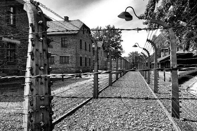 From Warsaw: Auschwitz-Birkenau Tour with Premium Train Transportation - Should you book the Warsaw to Auschwitz tour?