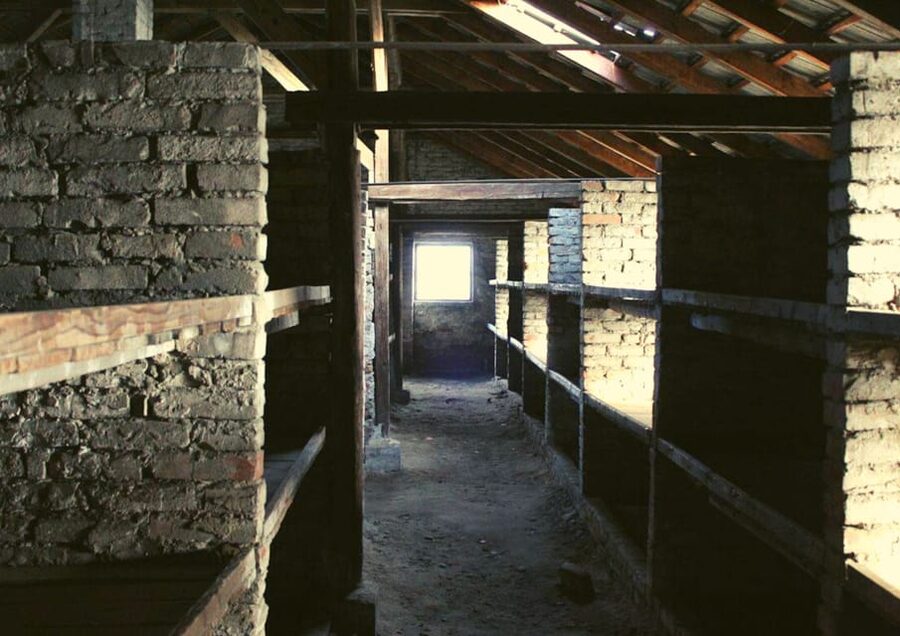 From Warsaw: Auschwitz Day Tour by Private Car with Lunch - Should you book it?