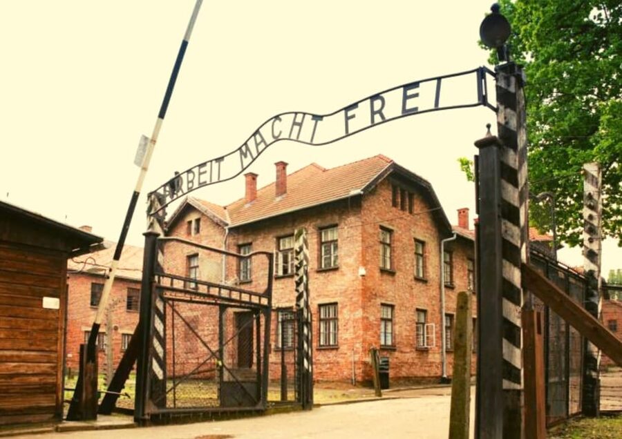 From Warsaw: Auschwitz Day Tour by Private Car with Lunch - Is $422 per person a fair price?