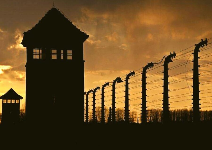 From Warsaw: Auschwitz Day Tour by Private Car with Lunch - Private transport versus a larger group
