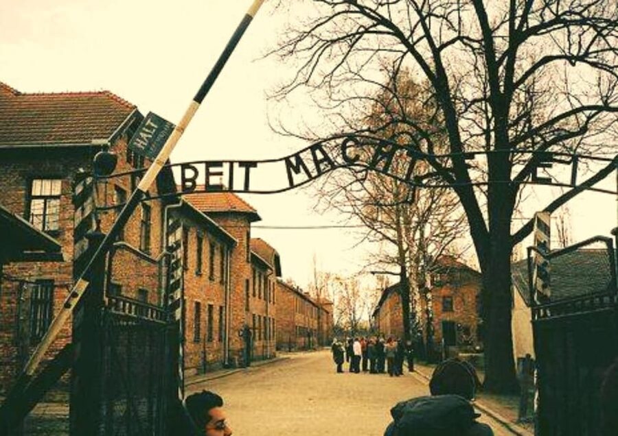 From Warsaw: Auschwitz Day Tour by Private Car with Lunch - Who should book this Auschwitz day tour?