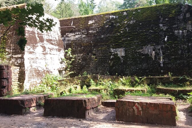 From Warsaw day tour to Wolf's Lair, Hitler's HQ by car - Key points to know before booking