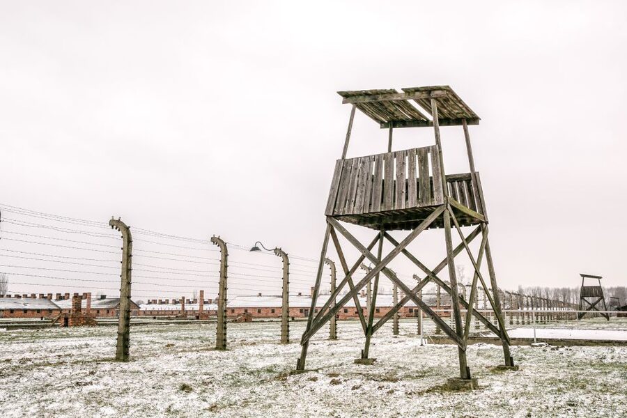 From Warsaw: Guided Tour to Auschwitz-Birkenau and Krakow - Free time around Krakow’s Old Town