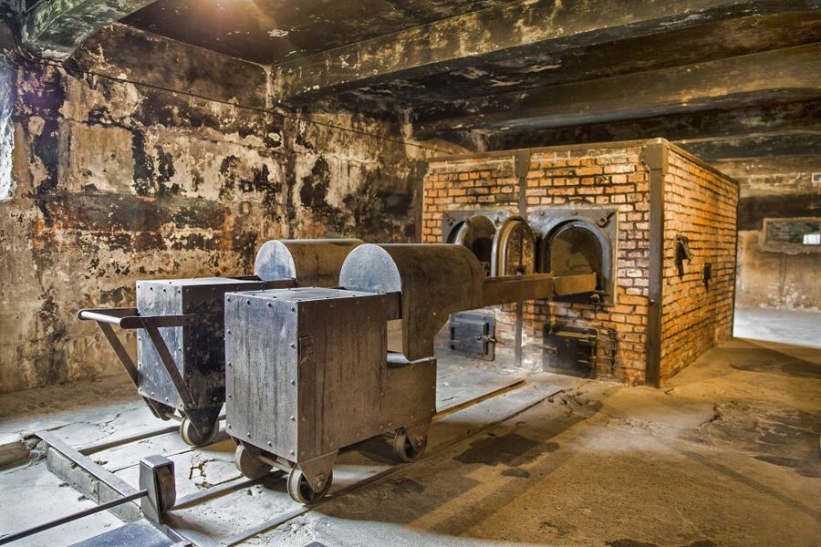 From Warsaw: Guided Tour to Auschwitz-Birkenau and Krakow - Who should book this tour?