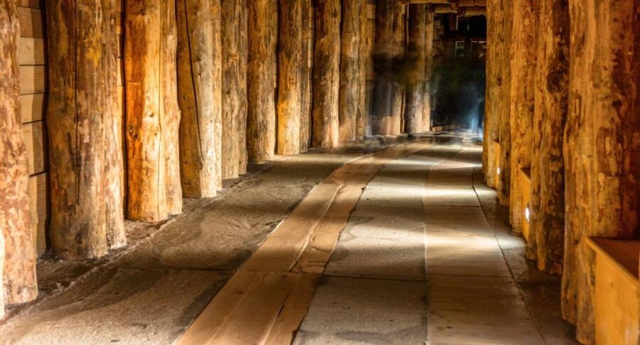 From Warsaw: Guided Tour to Wieliczka Salt Mine and Krakow - Is $220 a fair price?