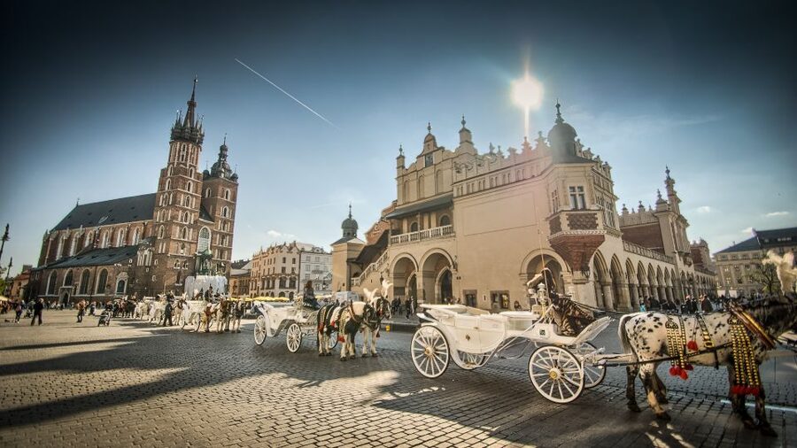 From Warsaw: Krakow Sightseeing Tour by Express Train - Key points to know before you book