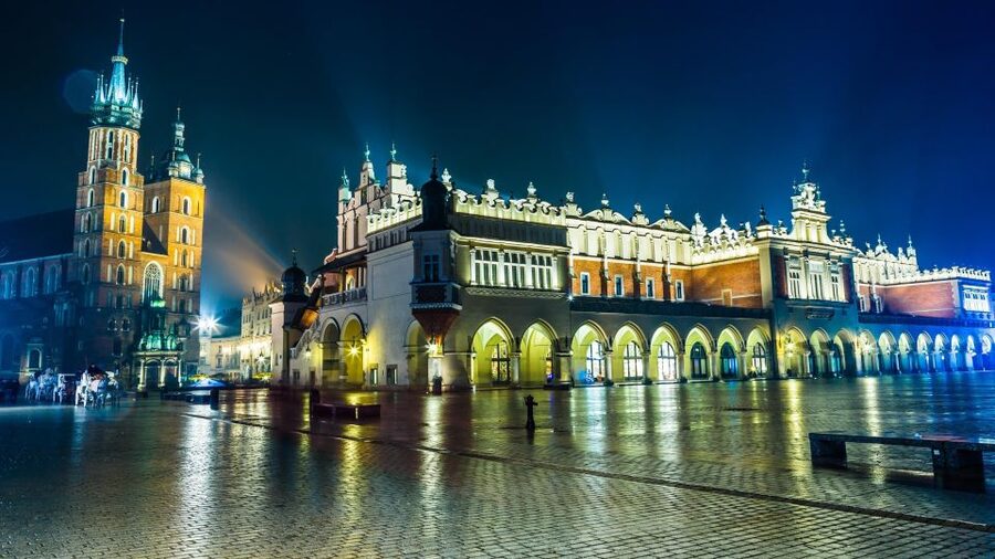 From Warsaw: Krakow Sightseeing Tour by Express Train - Who will get the most from this day trip