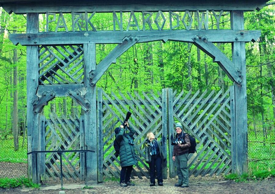 From Warsaw: Small-Group Tour to Bialowieza National Park - Park Palace and the old wooden manor