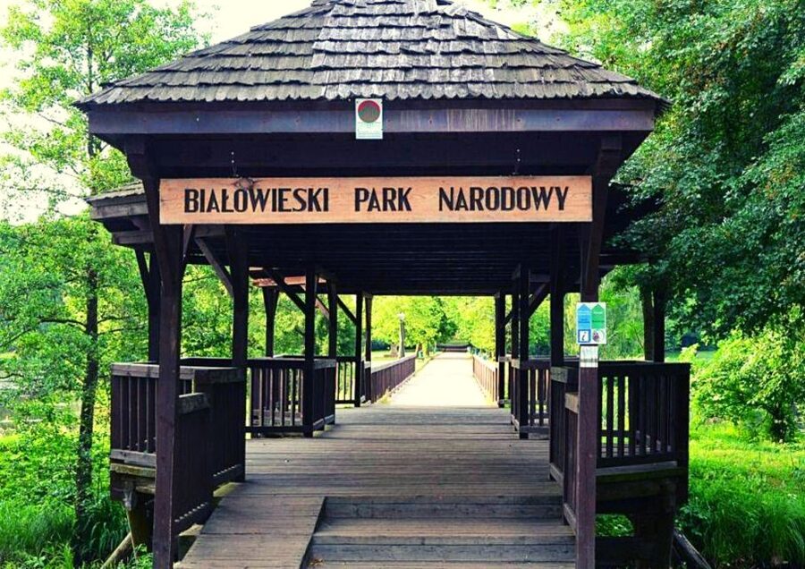 From Warsaw: Small-Group Tour to Bialowieza National Park - The early departure and small-group ride