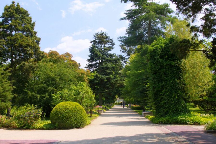 From Warsaw: Tour to Chopin's Birthplace - Żelazowa Wola - Walking through the park and concert pavilions