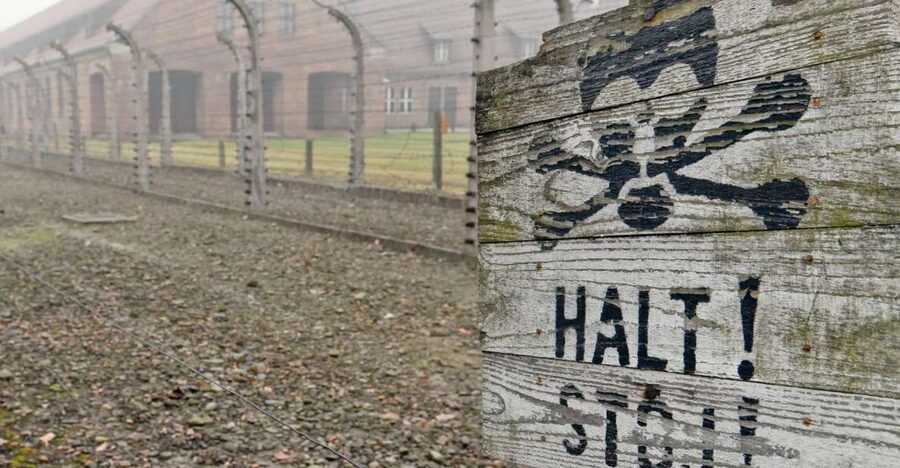 From Wrocław: Full-Day Auschwitz-Birkenau Guided Tour - The transfer to Birkenau and the scale of the crime