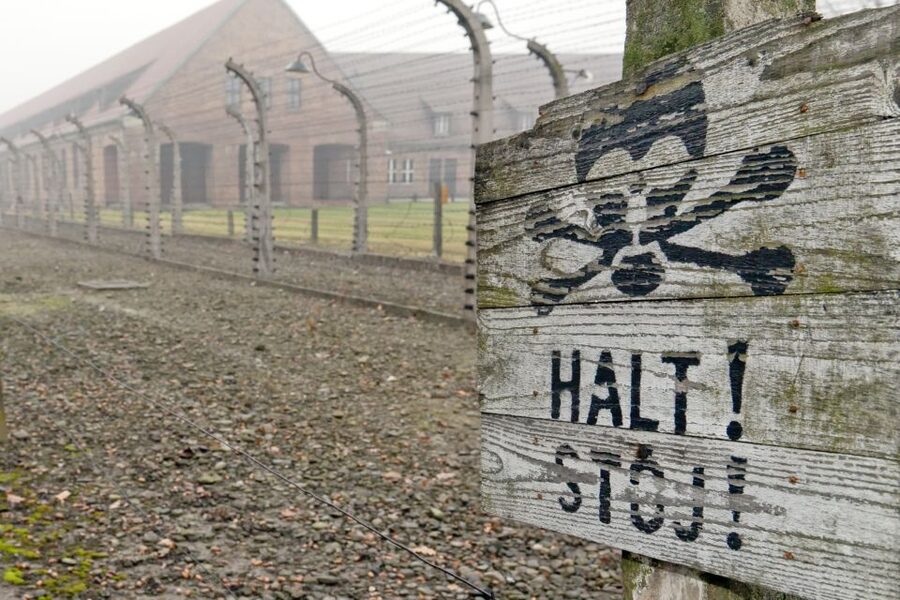 From Wrocław: Full-Day Auschwitz-Birkenau Guided Tour - What the museum guide and driver each do
