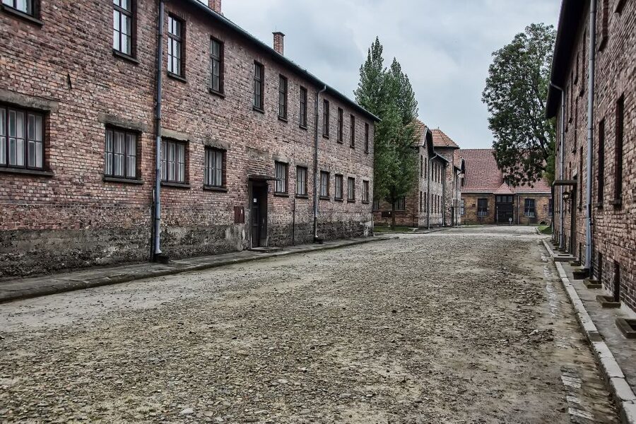 From Wrocław: Full-Day Auschwitz-Birkenau Guided Tour - What to bring and what not to expect