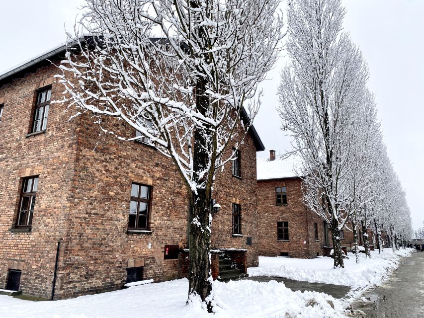 From Wrocław: Full-Day Auschwitz-Birkenau Guided Tour - Auschwitz I: exhibitions behind the camp gates