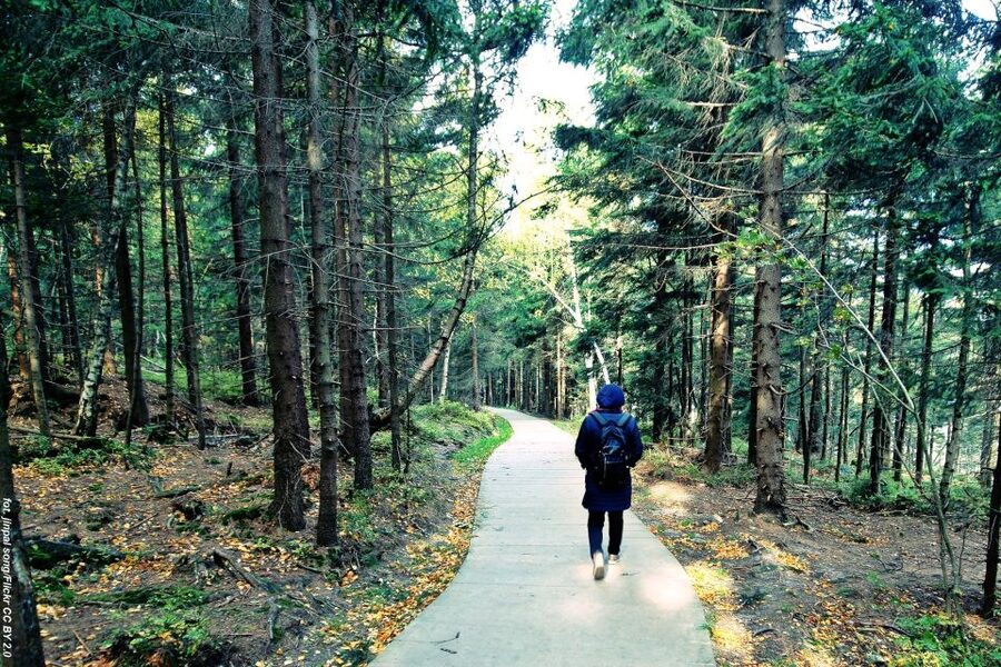 From Wroclaw: Full-Day Stolowe Mountains Trekking Tour - Should you book the Stolowe Mountains tour?