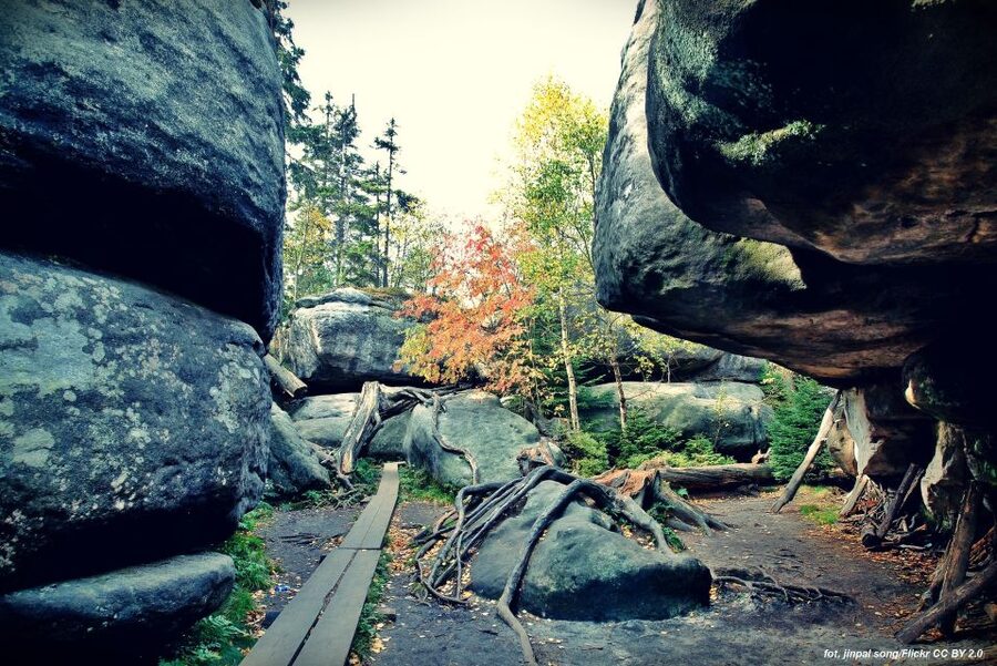 From Wroclaw: Full-Day Stolowe Mountains Trekking Tour - A break at the mountain shelter