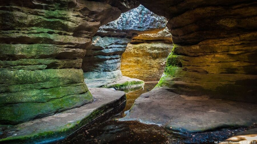 From Wroclaw: Full-Day Stolowe Mountains Trekking Tour - Who will enjoy this Lower Silesian day trip