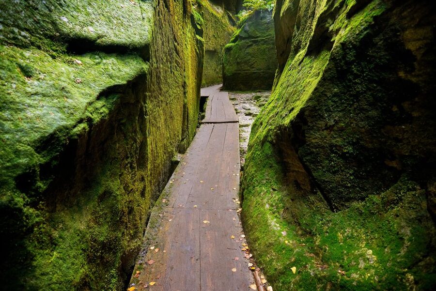 From Wroclaw: Hiking Trail in Rock City Adrspach - Who should book this day trip