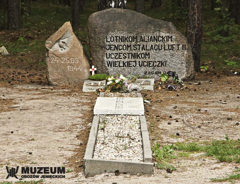 From Wrocław: Stalag Luft 3 Great Escape Tour - Practical details for a smoother visit