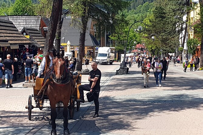 Full-Day Private Tour of Slovakia Treetop Walk and Zakopane - The long day, weather, and physical effort