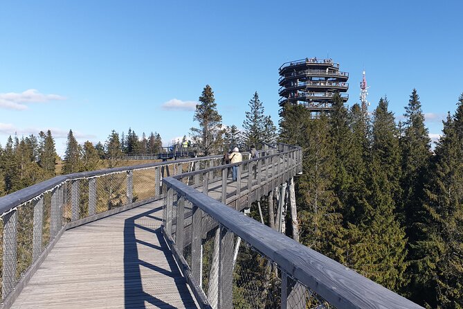 Full-Day Private Tour of Slovakia Treetop Walk and Zakopane - A private car changes the pace of the day