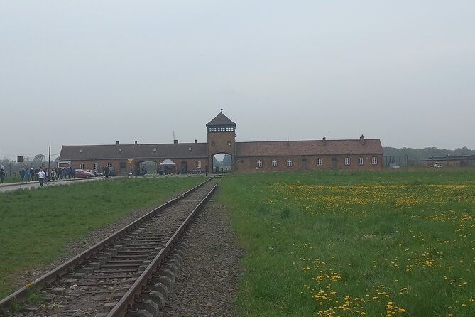Full-Day Tour From Warsaw to Auschwitz (guided) and Krakow by car - What this Warsaw day trip is really like