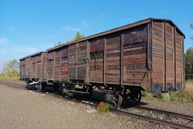Full-Day Tour From Warsaw to Auschwitz (guided) and Krakow by car - Why the assigned entrance time matters so much