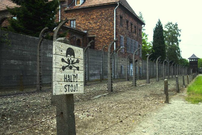 Full-Day Tour of Auschwitz and Wieliczka Salt Mine from Krakow - Auschwitz-Birkenau requires a respectful pace